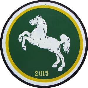 Scheibe des Veteranenknigs 2015